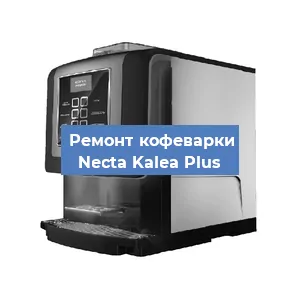 Замена прокладок на кофемашине Necta Kalea Plus в Ростове-на-Дону